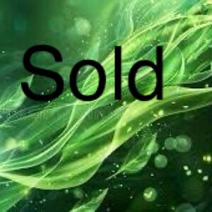 Teal Perceptions Women's Top Size 12